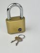 ILS 50mm 4 wheel combination padlock with a hardened steel shackle